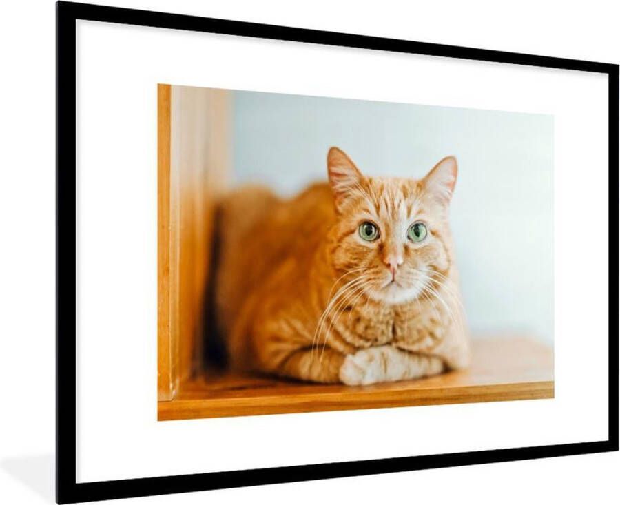 PosterMonkey Fotolijst incl. Poster Kat Hout Kast 120x80 cm Posterlijst
