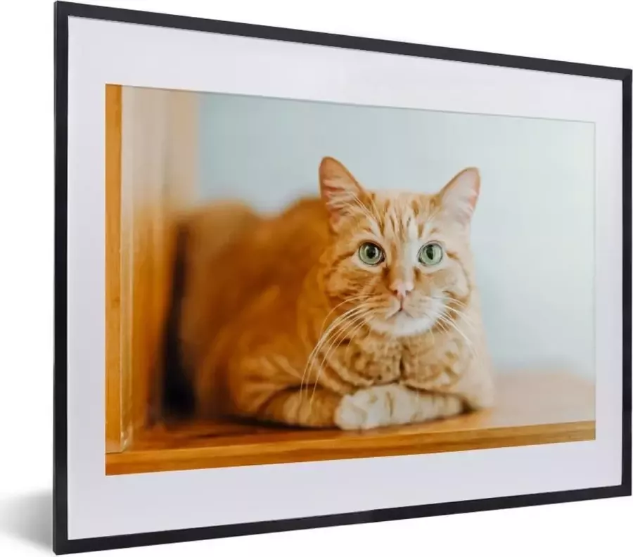 PosterMonkey Fotolijst incl. Poster Kat Hout Kast 40x30 cm Posterlijst