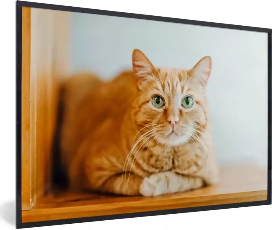 PosterMonkey Fotolijst incl. Poster Kat Hout Kast 60x40 cm Posterlijst