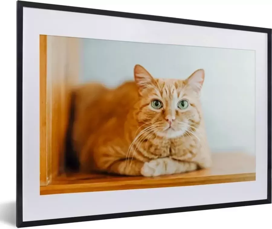 PosterMonkey Fotolijst incl. Poster Kat Hout Kast 60x40 cm Posterlijst