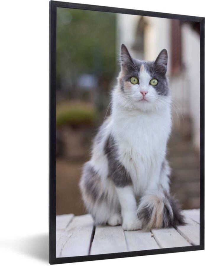 PosterMonkey Fotolijst incl. Poster Kat Portret Tafel Meisjes Kinderen Jongens Kids 80x120 cm Posterlijst - Foto 2