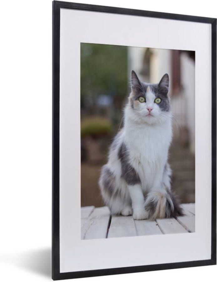 PosterMonkey Fotolijst incl. Poster Kat Portret Tafel Meisjes Kinderen Jongens Kids 40x60 cm Posterlijst