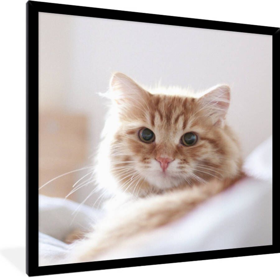 PosterMonkey Fotolijst incl. Poster Kat Rood Bed Meisjes Kinderen Jongens Kids 40x40 cm Posterlijst - Foto 2