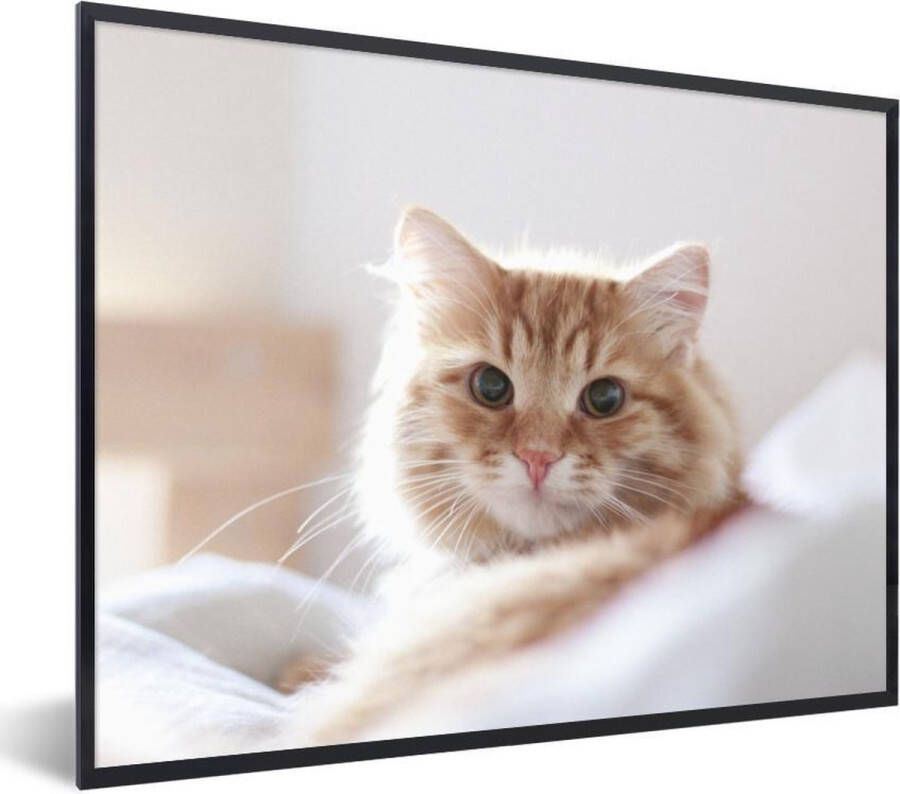 PosterMonkey Fotolijst incl. Poster Kat Rood Bed Meisjes Kinderen Jongens Kids 80x60 cm Posterlijst