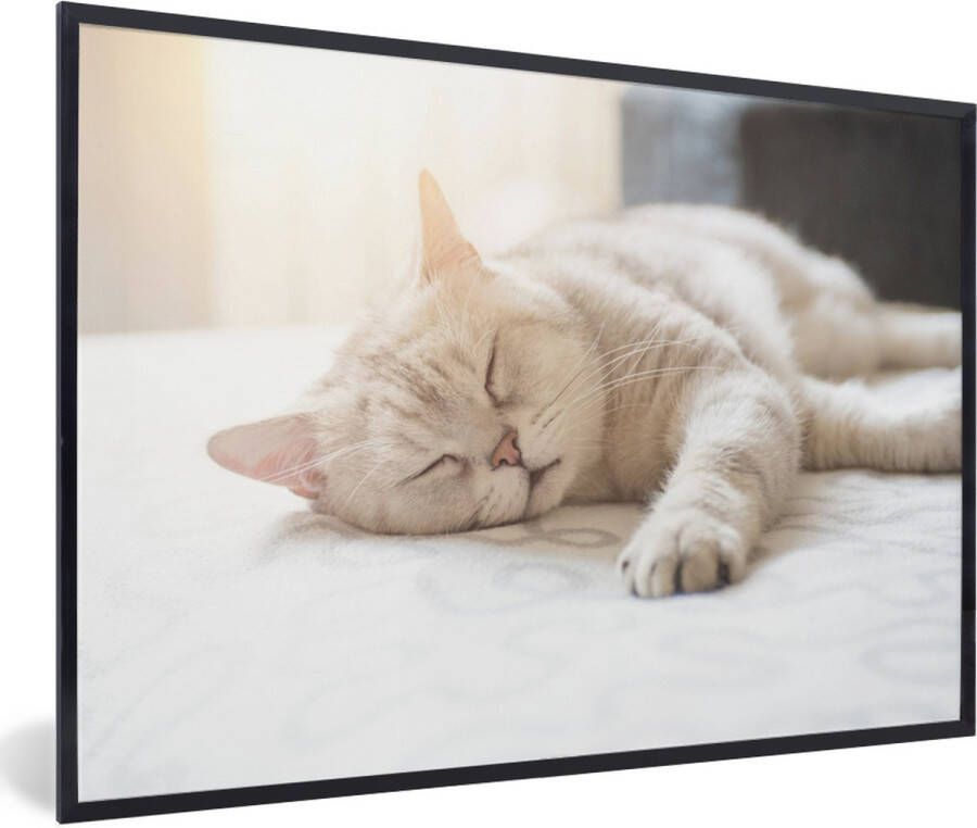 PosterMonkey Fotolijst incl. Poster Kat slaapt op bed 120x80 cm Posterlijst