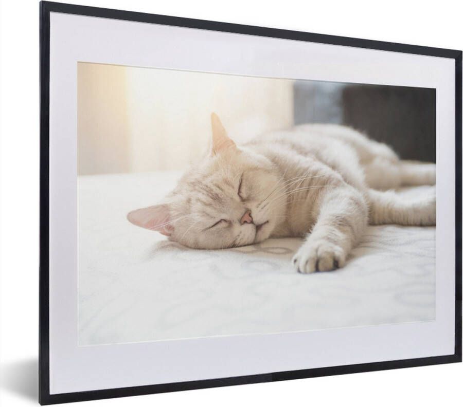 PosterMonkey Fotolijst incl. Poster Kat slaapt op bed 40x30 cm Posterlijst