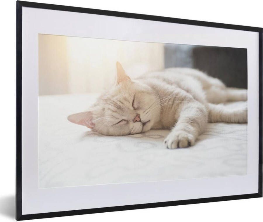 PosterMonkey Fotolijst incl. Poster Kat slaapt op bed 60x40 cm Posterlijst