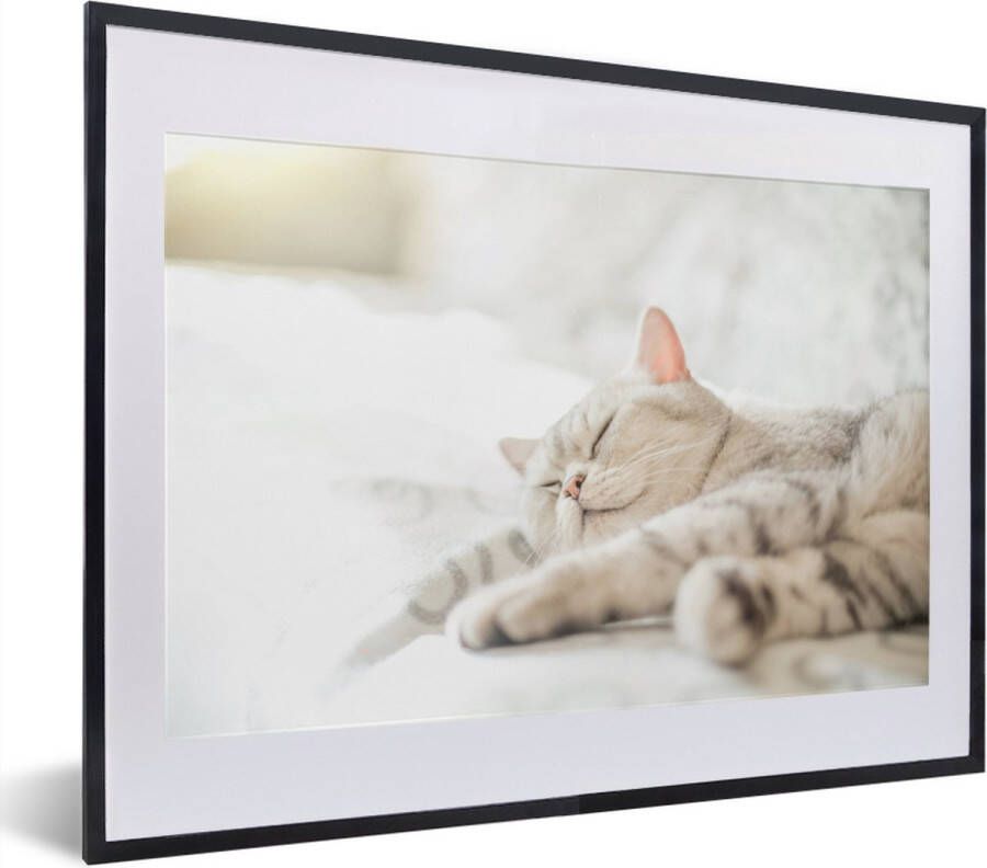 PosterMonkey Fotolijst incl. Poster Kat slaapt op de bank 40x30 cm Posterlijst
