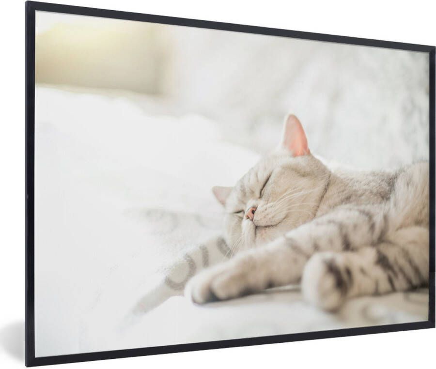 PosterMonkey Fotolijst incl. Poster Kat slaapt op de bank 60x40 cm Posterlijst - Foto 2