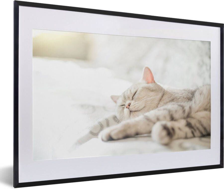 PosterMonkey Fotolijst incl. Poster Kat slaapt op de bank 60x40 cm Posterlijst