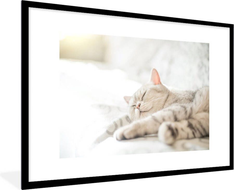 PosterMonkey Fotolijst incl. Poster Kat slaapt op de bank 90x60 cm Posterlijst