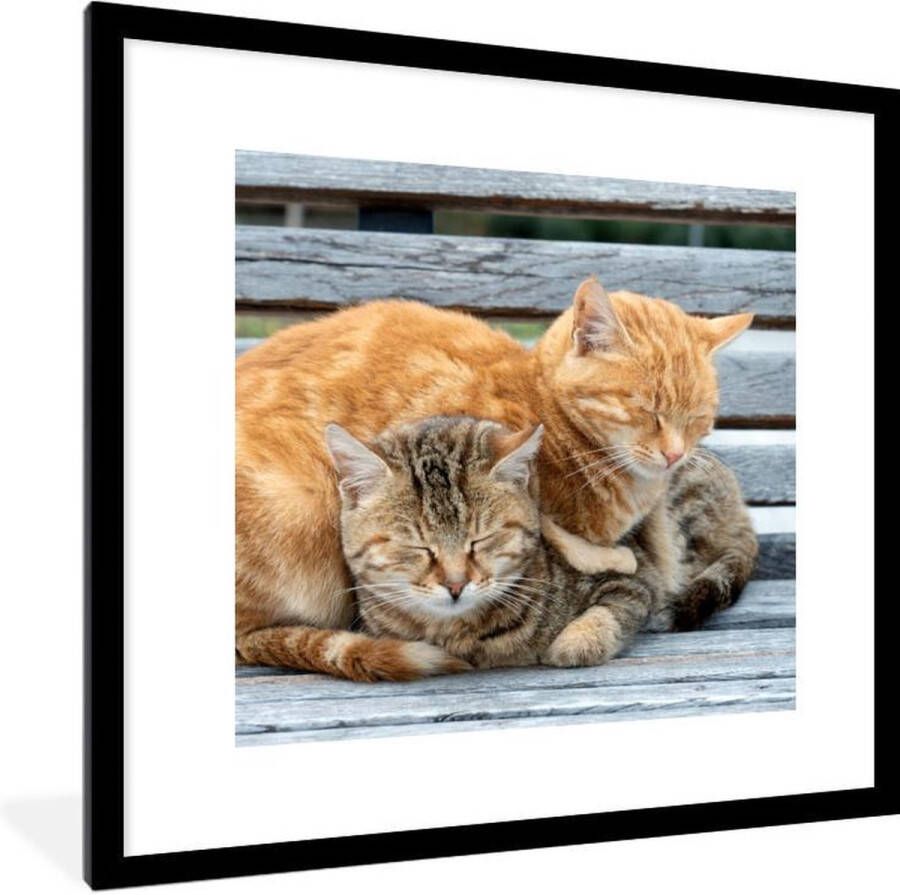 PosterMonkey Fotolijst incl. Poster Kat Slapen Bank 40x40 cm Posterlijst