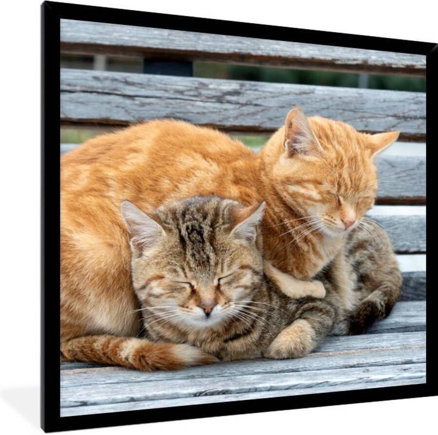 PosterMonkey Fotolijst incl. Poster Kat Slapen Bank 40x40 cm Posterlijst - Foto 2