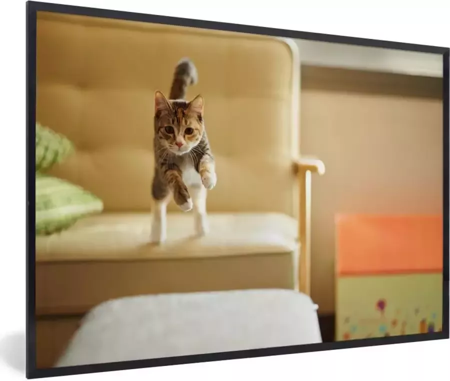 PosterMonkey Fotolijst incl. Poster Kat Spring Stoel 30x20 cm Posterlijst