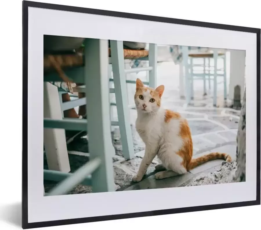 PosterMonkey Fotolijst incl. Poster Kat Stoel Grond 40x30 cm Posterlijst