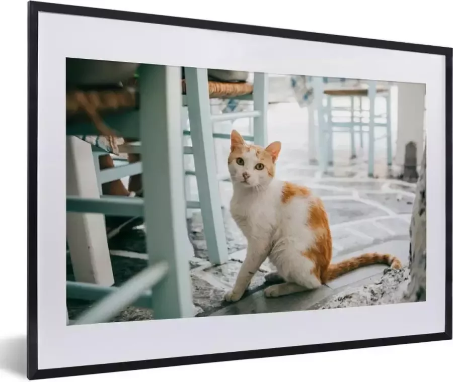 PosterMonkey Fotolijst incl. Poster Kat Stoel Grond 60x40 cm Posterlijst