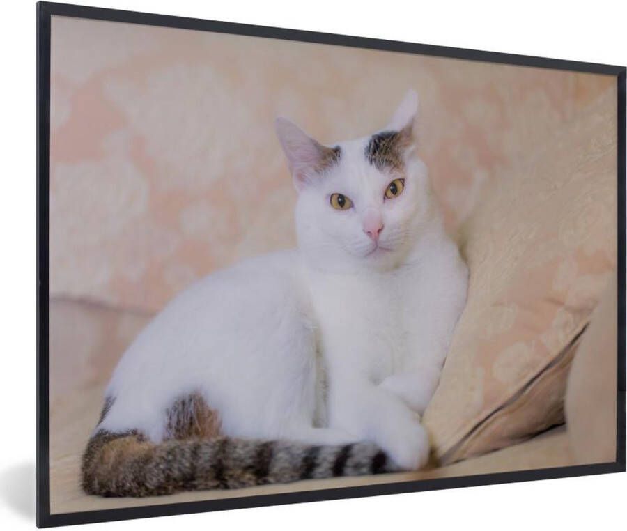 PosterMonkey Fotolijst incl. Poster Kat Wit Bank Meisjes Kinderen Jongens Kids 90x60 cm Posterlijst - Foto 2