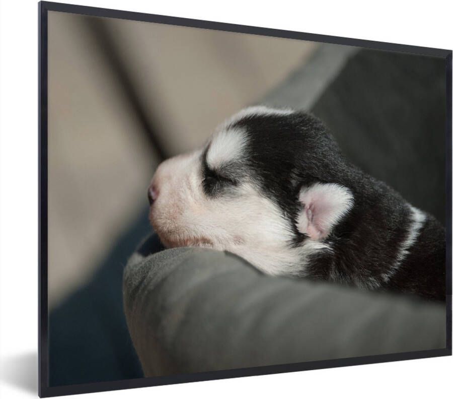 PosterMonkey Fotolijst incl. Poster Slapende hond op de bank 40x30 cm Posterlijst