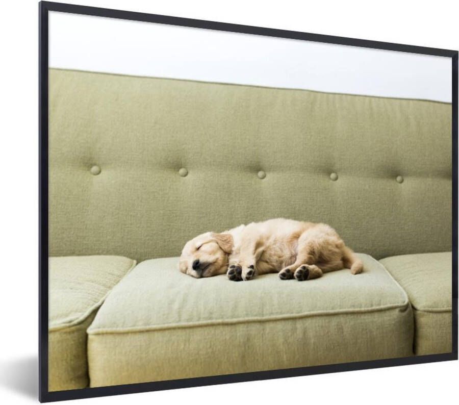 PosterMonkey Fotolijst incl. Poster Slapende puppy op de bank 40x30 cm Posterlijst