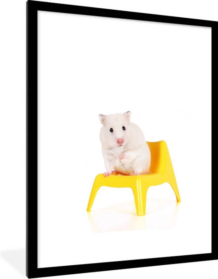 PosterMonkey Fotolijst incl. Poster Witte hamster op een gele stoel 60x80 cm Posterlijst