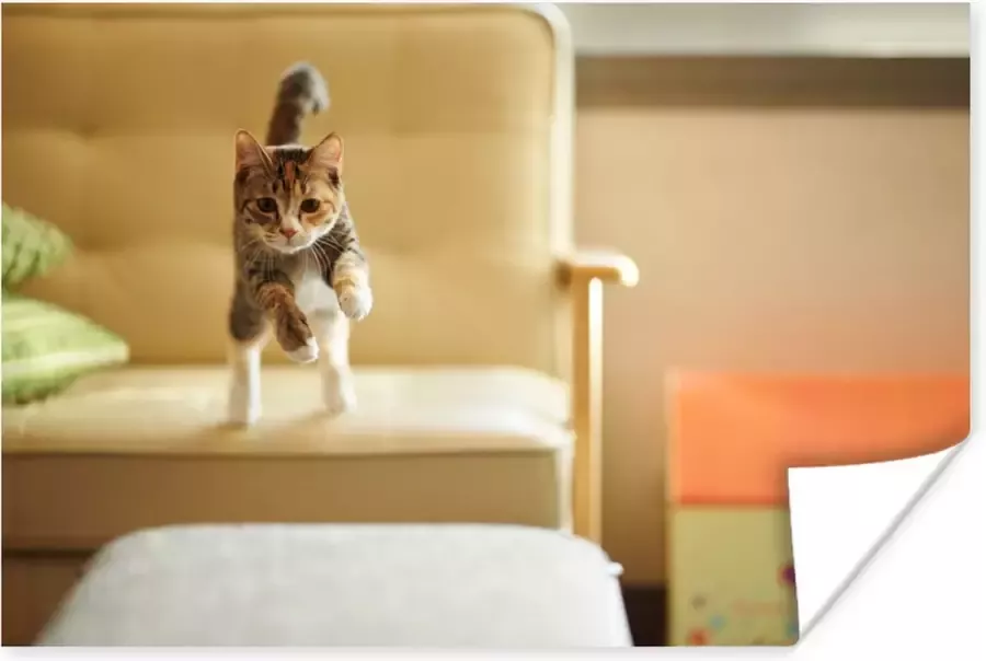 PosterMonkey Kat die van bank springt poster papier 120x80 cm Foto print op Poster (wanddecoratie woonkamer slaapkamer) Huisdieren Poster
