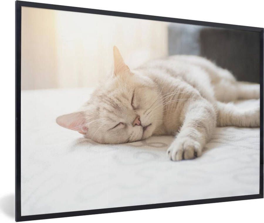 PosterMonkey Fotolijst incl. Poster Kat slaapt op bed 90x60 cm Posterlijst