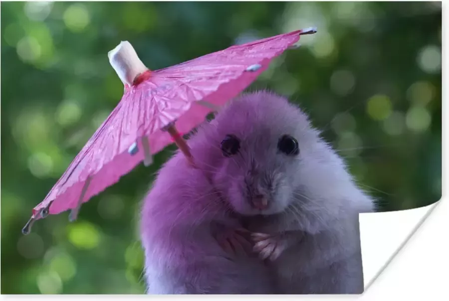 PosterMonkey Poster Hamster met een roze parasol 120x80 cm