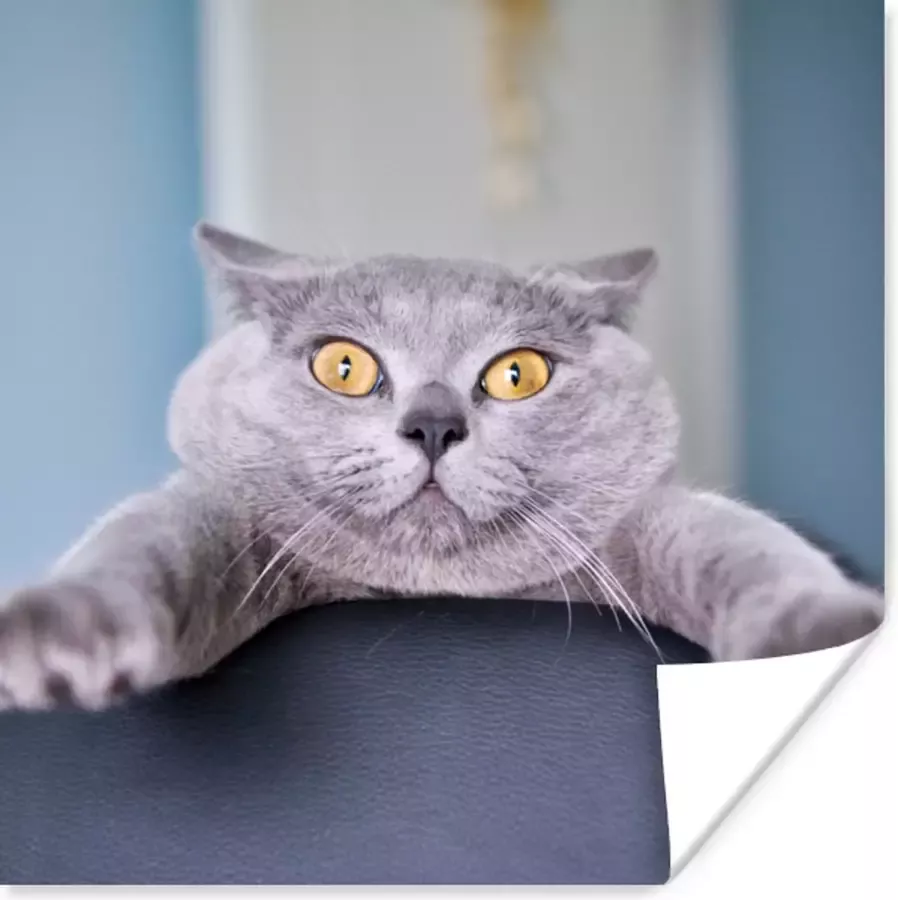 PosterMonkey Poster Kat Bang Stoel 100x100 cm XXL