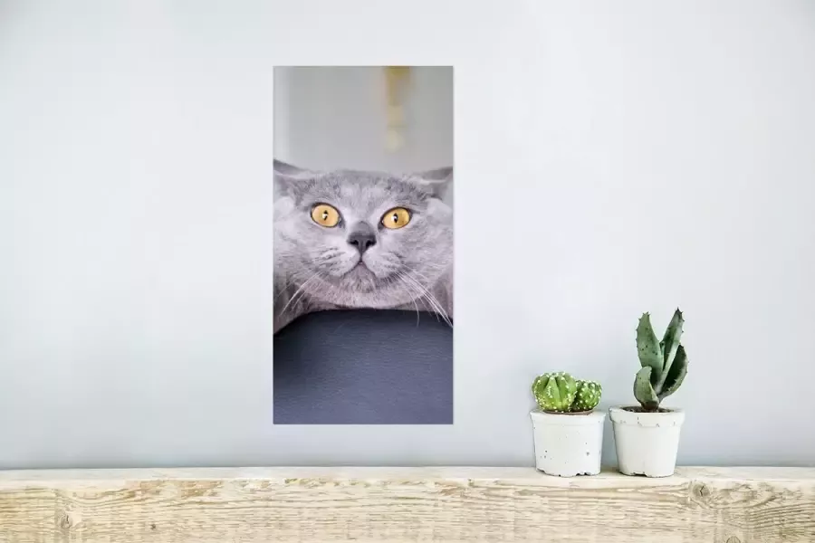PosterMonkey Poster Kat Bang Stoel 20x40 cm - Foto 2