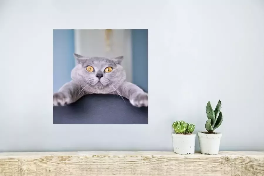 PosterMonkey Poster Kat Bang Stoel 30x30 cm - Foto 2