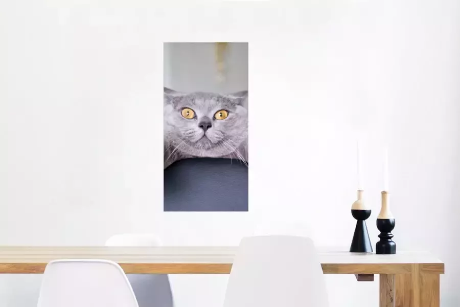 PosterMonkey Poster Kat Bang Stoel 40x80 cm - Foto 2