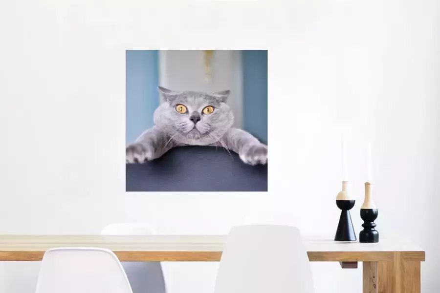 PosterMonkey Poster Kat Bang Stoel 50x50 cm - Foto 2