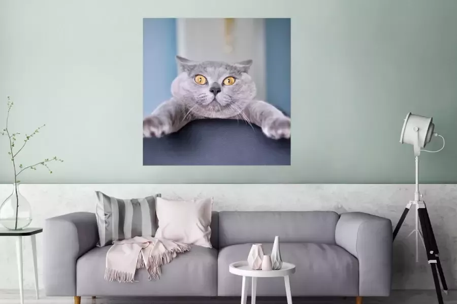 PosterMonkey Poster Kat Bang Stoel 75x75 cm - Foto 2