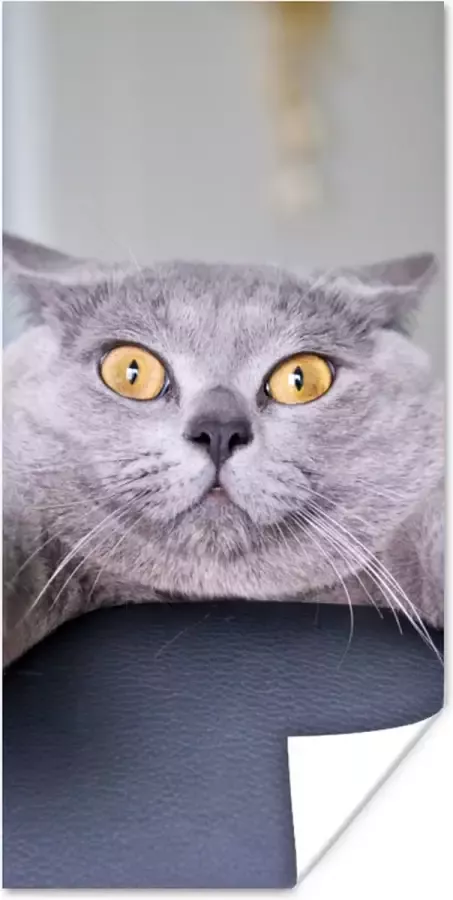 PosterMonkey Poster Kat Bang Stoel 80x160 cm