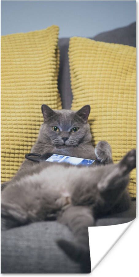 PosterMonkey Poster Kat Bank Lui 20x40 cm