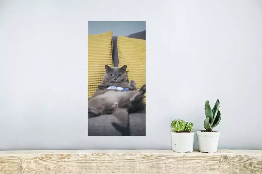 PosterMonkey Poster Kat Bank Lui 20x40 cm - Foto 2