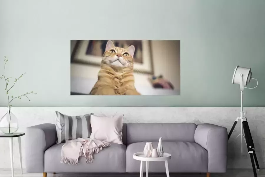 PosterMonkey Poster Kat Bank Oranje 120x60 cm - Foto 2