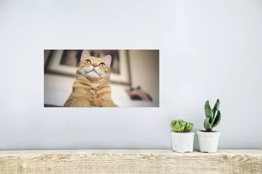 PosterMonkey Poster Kat Bank Oranje 40x20 cm - Foto 2