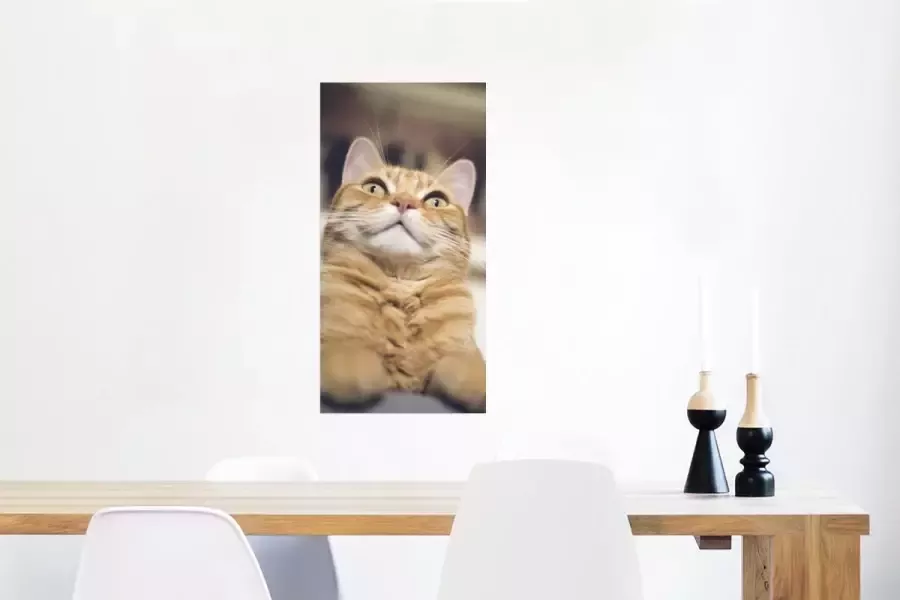 PosterMonkey Poster Kat Bank Oranje 40x80 cm - Foto 2