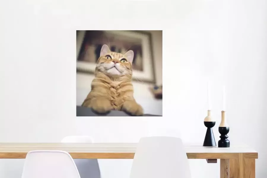 PosterMonkey Poster Kat Bank Oranje 50x50 cm - Foto 2