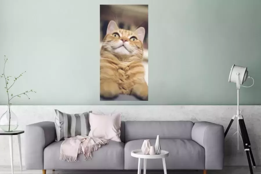 PosterMonkey Poster Kat Bank Oranje 60x120 cm - Foto 2