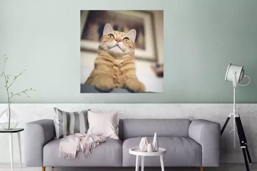 PosterMonkey Poster Kat Bank Oranje 75x75 cm - Foto 2