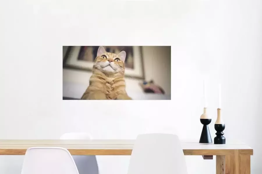 PosterMonkey Poster Kat Bank Oranje 80x40 cm - Foto 2