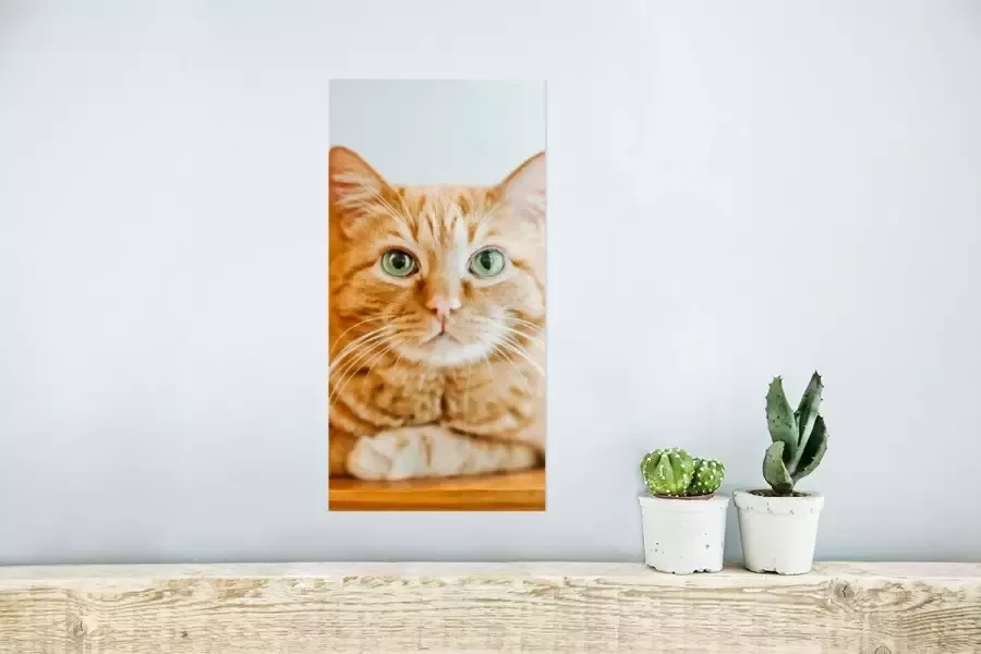 PosterMonkey Poster Kat Hout Kast 20x40 cm - Foto 2