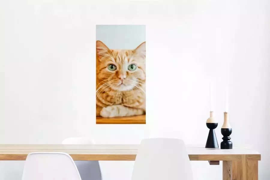 PosterMonkey Poster Kat Hout Kast 40x80 cm - Foto 2