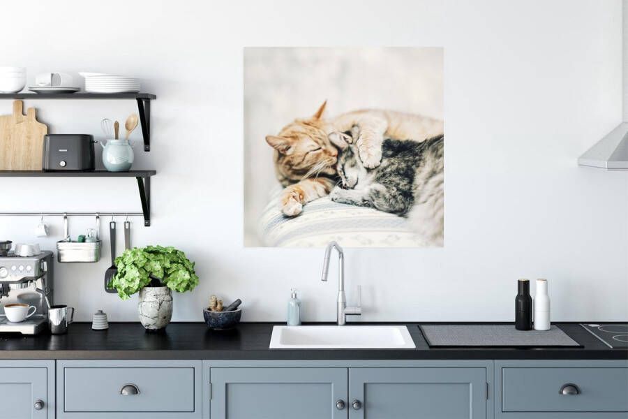 Poster 75x75 cm Kat Knuffelen Stoel Posters Kamer decoratie Wanddecoratie woonkamer Muurdecoratie slaapkamer - Foto 3
