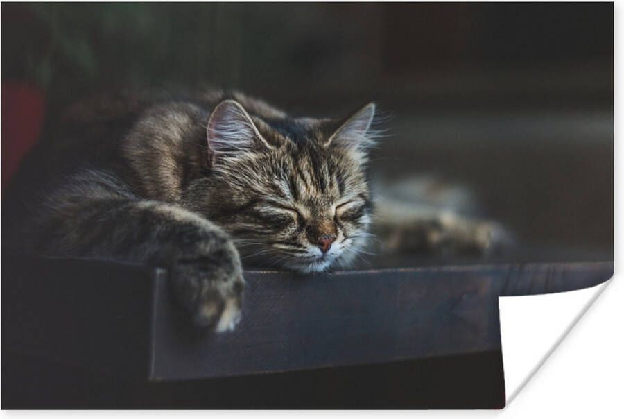 PosterMonkey Poster Kat ligt op een zwarte tafel te slapen 30x20 cm