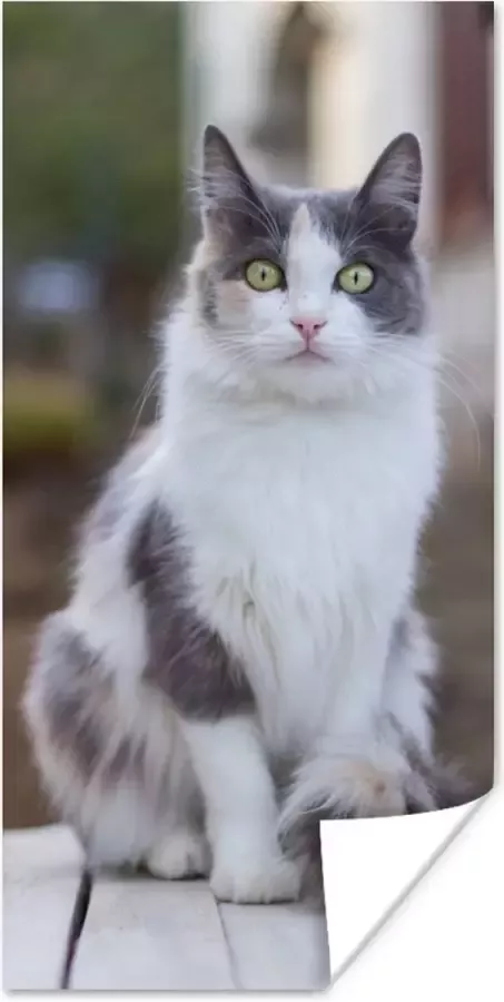 PosterMonkey Poster Kat Portret Tafel Meisjes Kinderen Jongens Kids 40x80 cm