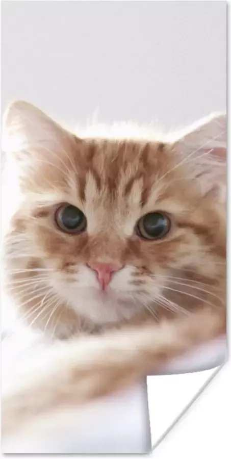 PosterMonkey Poster Kat Rood Bed Meisjes Kinderen Jongens Kids 80x160 cm