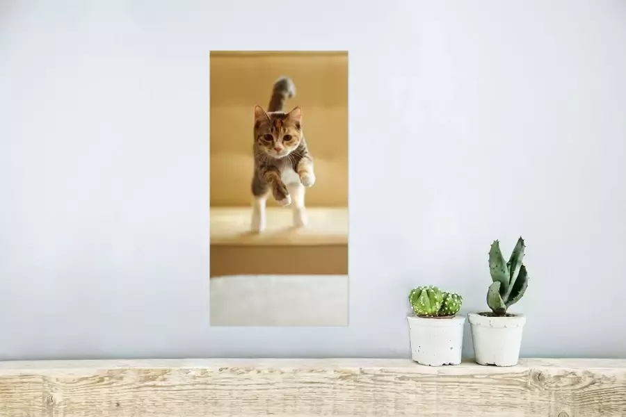 PosterMonkey Poster Kat Spring Stoel 20x40 cm